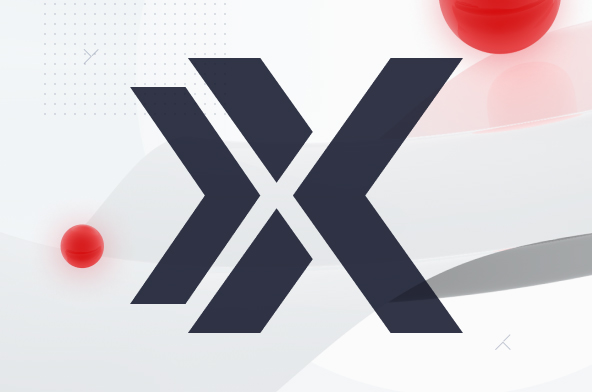 Website for eXelentex